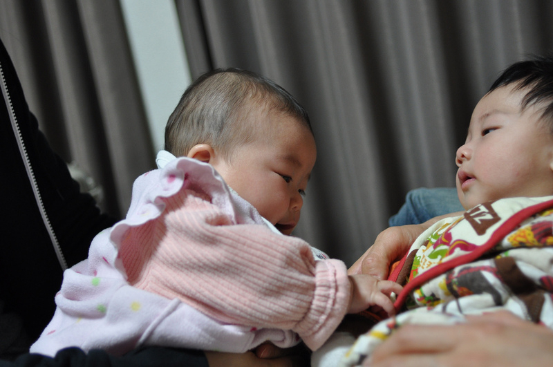 3244374384_959d03aae2_b 3244374384_959d03aae2_b