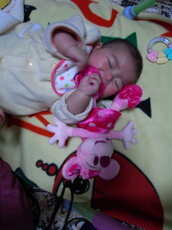 Th_r0011700 Th_r0011700