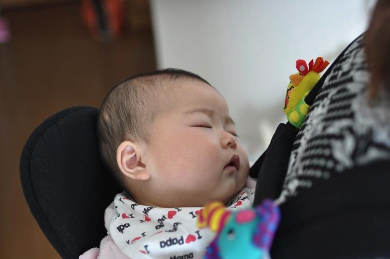 Th_dsc_0408 Th_dsc_0408