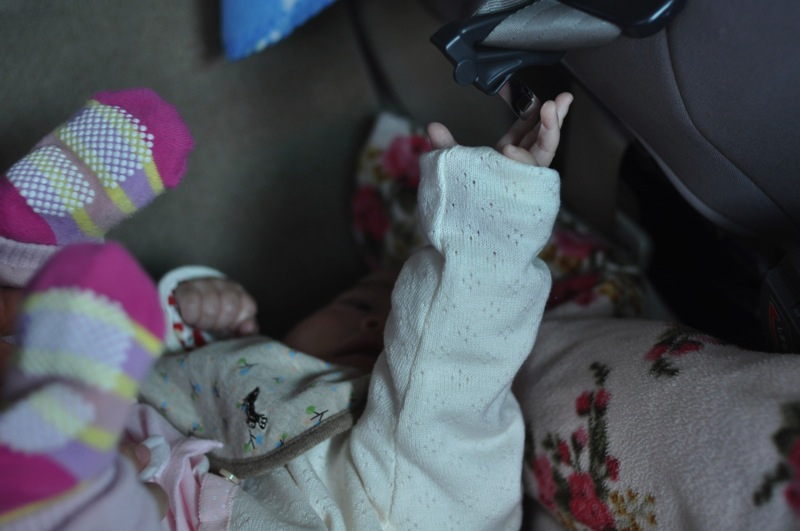 Th_dsc_0886 Th_dsc_0886