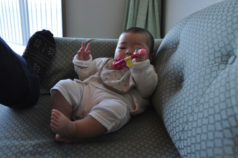 Th_dsc_0931 Th_dsc_0931