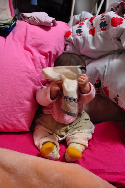 Th_dsc_1496 Th_dsc_1496