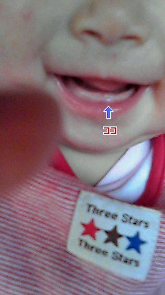 生後２１８日目