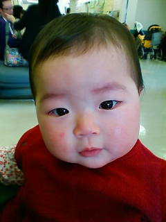 生後２３０日目