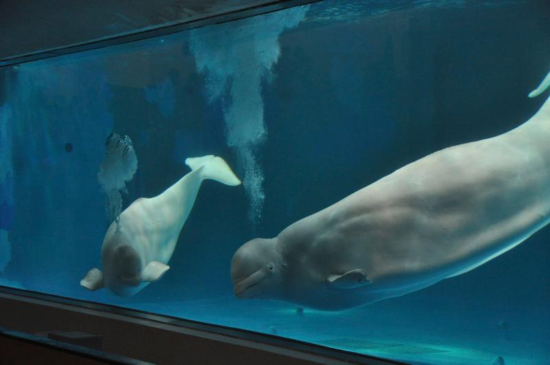 Th_dsc_4514 Th_dsc_4514