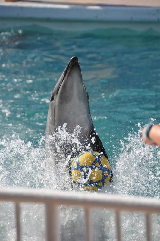 Th_dsc_4565 Th_dsc_4565