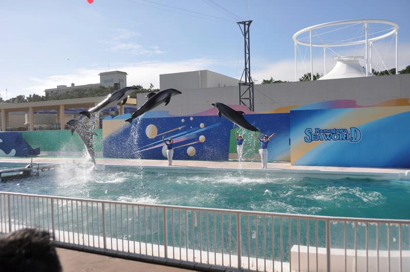 Th_dsc_4577 Th_dsc_4577