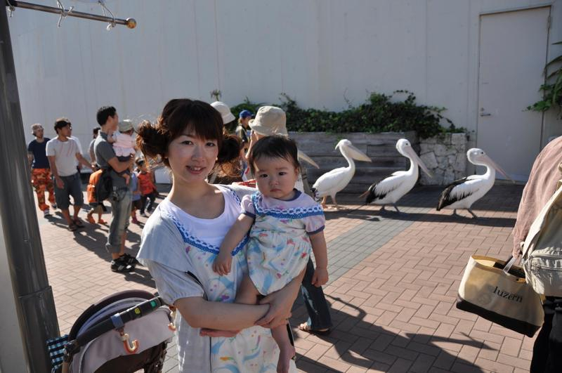 Th_dsc_4583 Th_dsc_4583