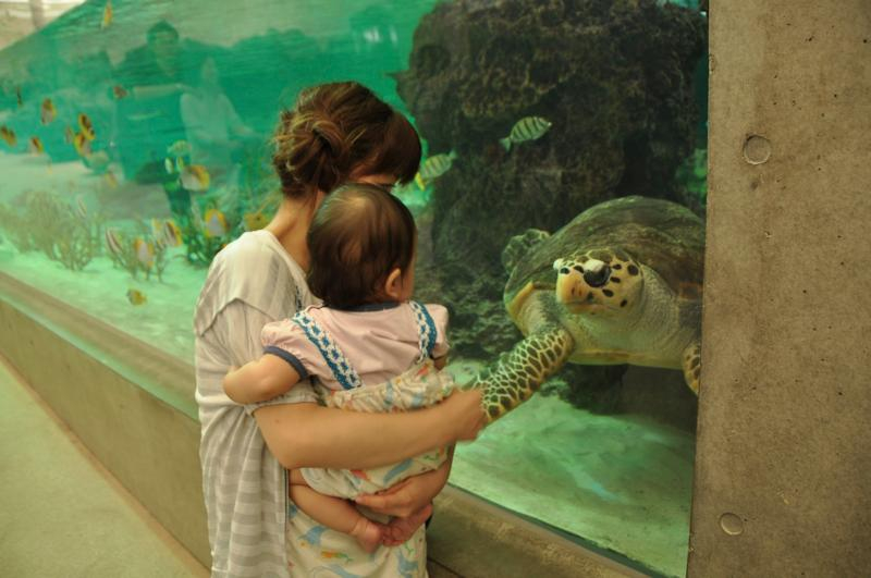 Th_dsc_4595 Th_dsc_4595