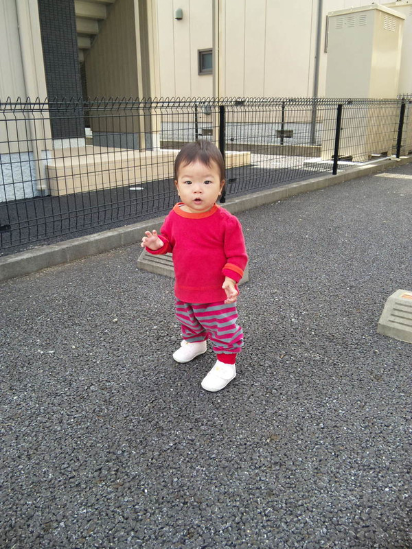 みかんを食べました