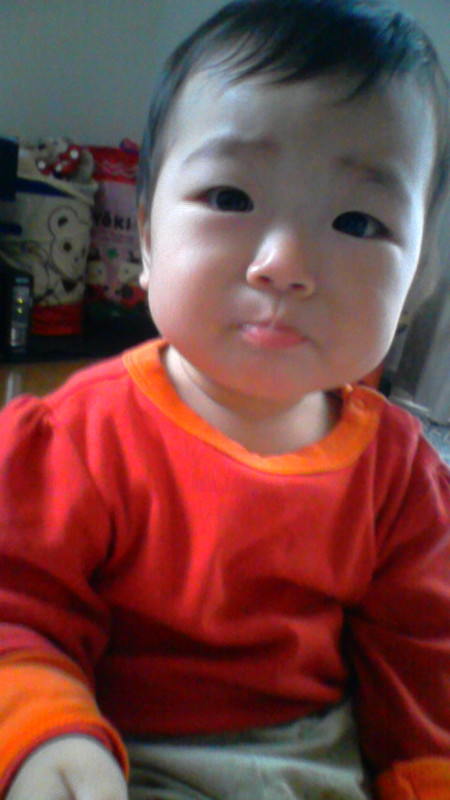 みかんを食べました