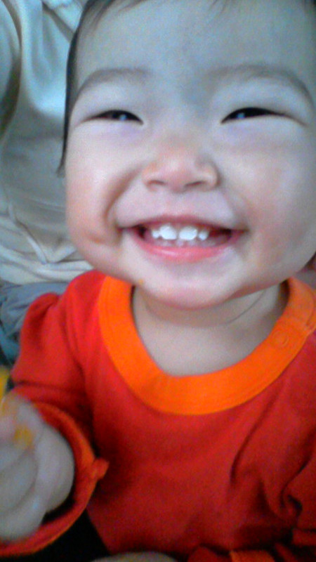 みかんを食べました