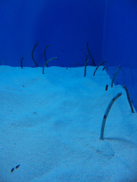 100729_095849.jpg 100729_095849.jpg