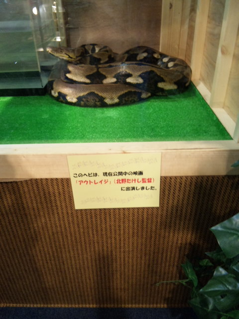 100729_095849.jpg 100729_095849.jpg