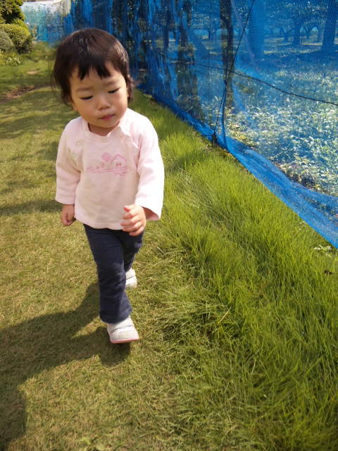 101008_074013.jpg 101008_074013.jpg