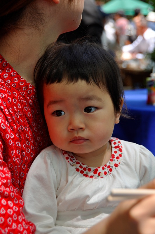 Th_DSC_7649 Th_DSC_7649