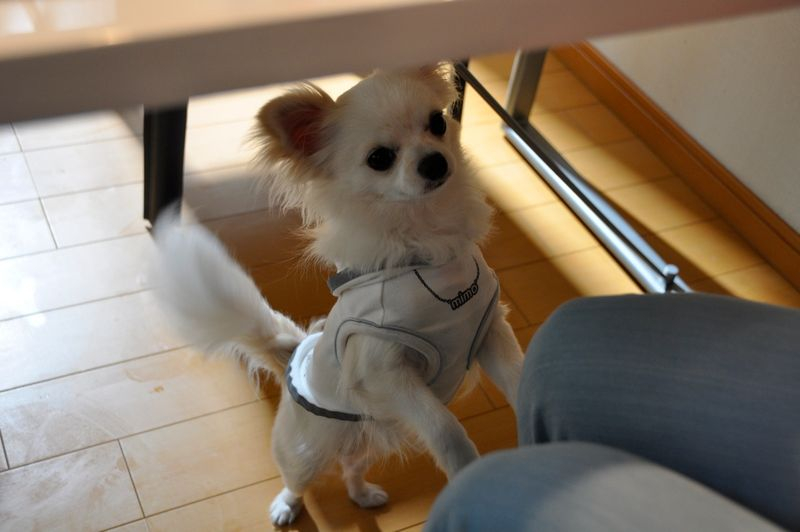 Th_DSC_7664 Th_DSC_7664