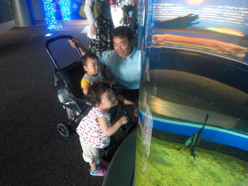 Th_R0014696 Th_R0014696