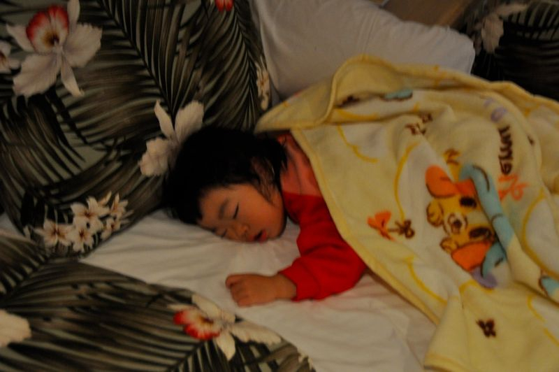 Th_DSC_1837 Th_DSC_1837