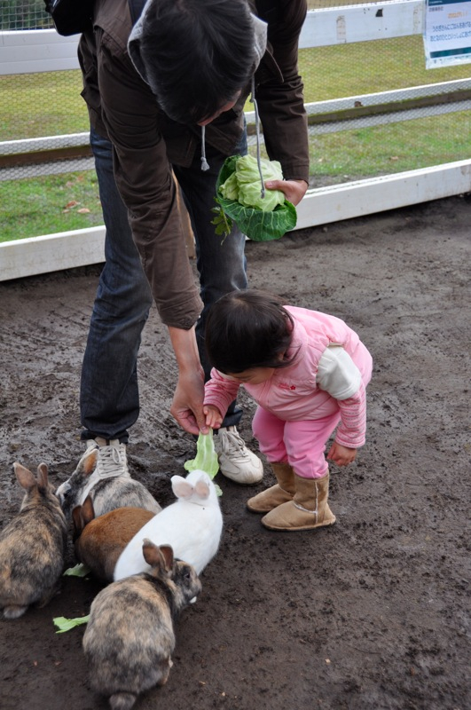 Th_DSC_1924 Th_DSC_1924