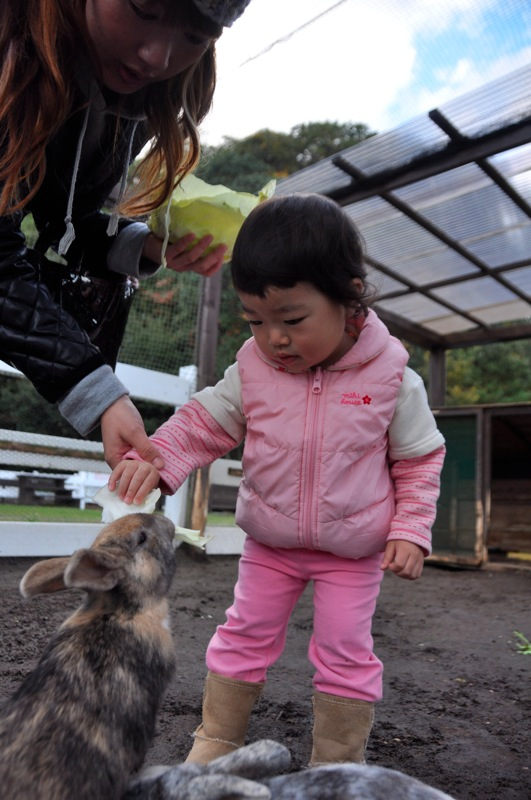 Th_DSC_1943 Th_DSC_1943