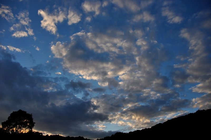 Th_DSC_1985 Th_DSC_1985