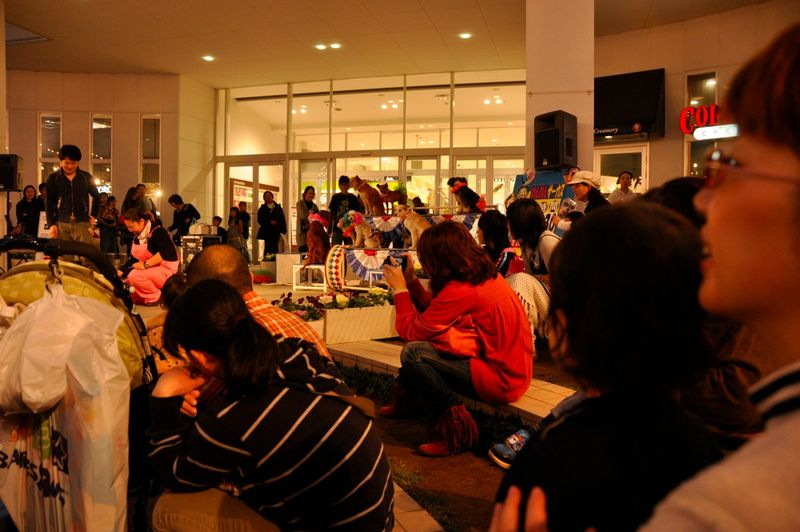 Th_DSC_2101 Th_DSC_2101