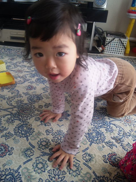 110330_091833.jpg 110330_091833.jpg