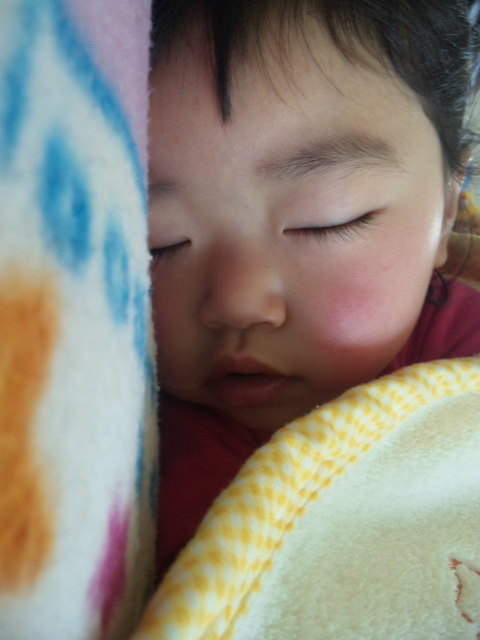 110406_110637.jpg 110406_110637.jpg