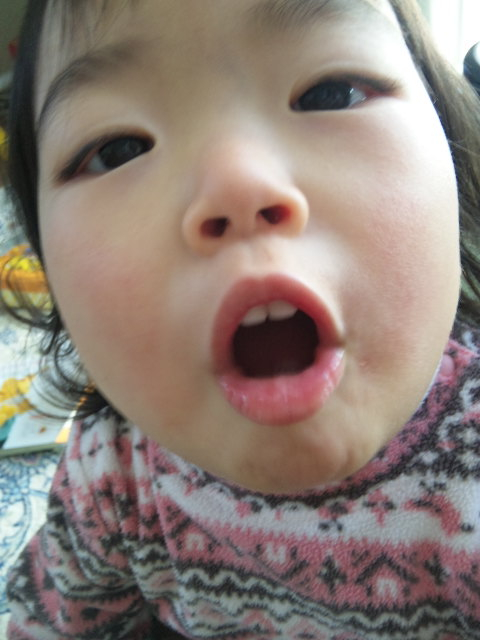 110405_102037.jpg 110405_102037.jpg