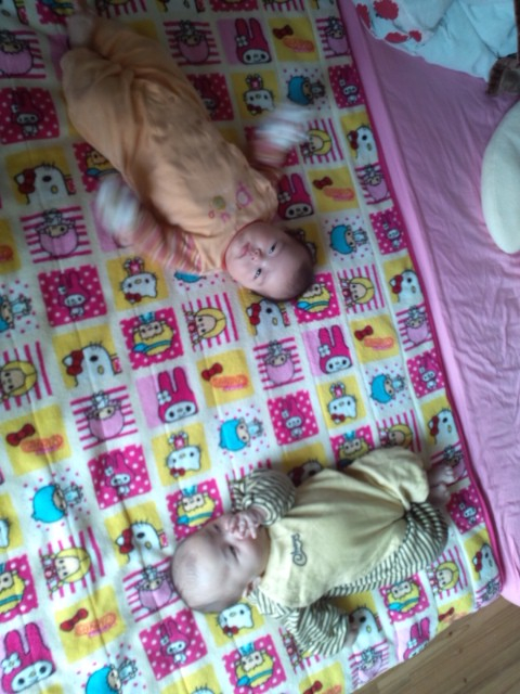 DSC_1216.jpg DSC_1216.jpg