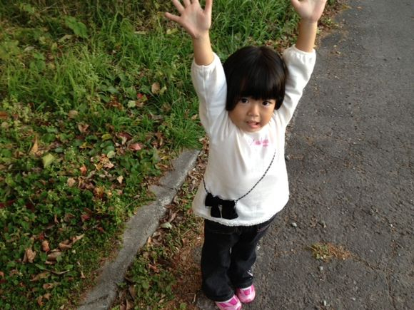 image from http://hayase.typepad.jp/.a/6a0120a85ce28c970b017ee51a868e970d-pi