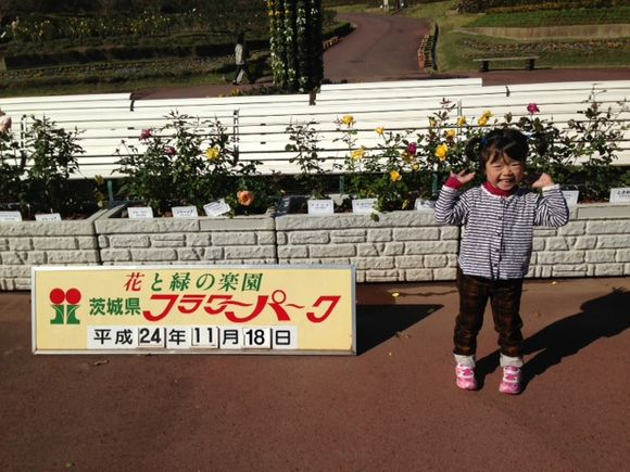 image from http://hayase.typepad.jp/.a/6a0120a85ce28c970b017c33bc88fa970b-pi image from http://hayase.typepad.jp/.a/6a0120a85ce28c970b017c33bc88fa970b-pi