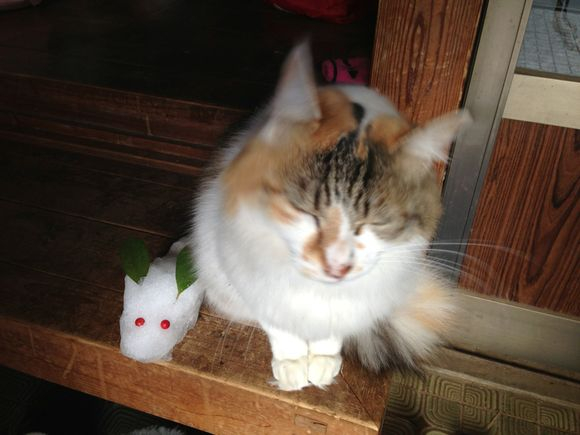 2013/01/22 2013/01/22