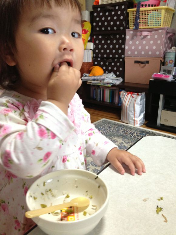 2013/05/15 2013/05/15